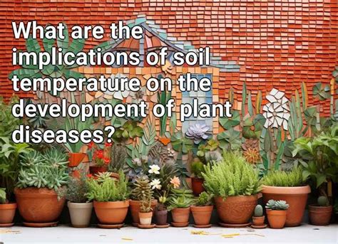 What Are The Implications Of Soil Temperature On The Development Of