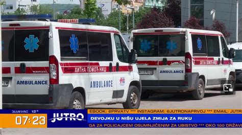 Devojku Ujela Zmija Otrovnica Hospitalizovana U Ni U Video B