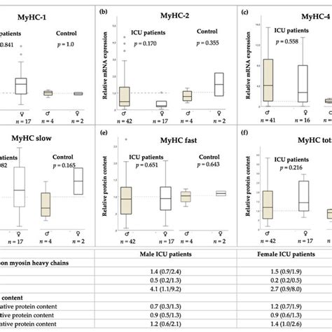 Ac Sex Specific Relative Mrna Expression Of Myosin Heavy Chains Download Scientific Diagram