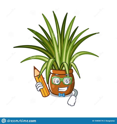 Student Spider Plant Isolated With In Mascot Stock Vector