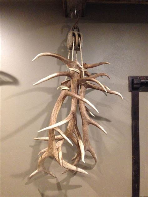 Big Elk Shed Antlers Hanging From Anique Pulley In Trophy Room Man Cave