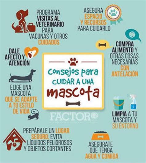 Sintético 96 Foto Cartel De Cuidado De Los Animales Alta Definición