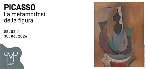 Picasso La Metamorfosi Della Figura