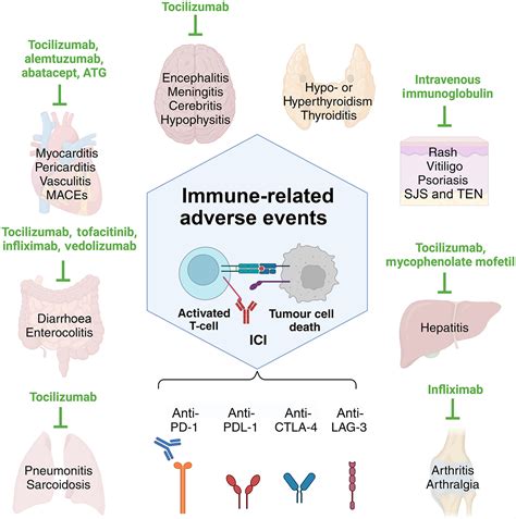 Treatment Options For Immune‐related Adverse Events Associated With Immune Checkpoint Inhibitors