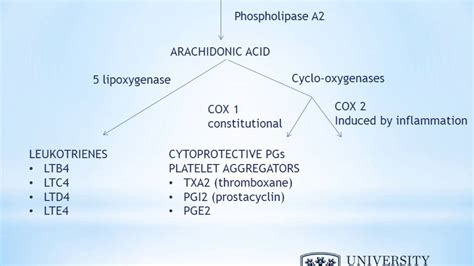 What is the link between aspirin and asthma ? - YouTube