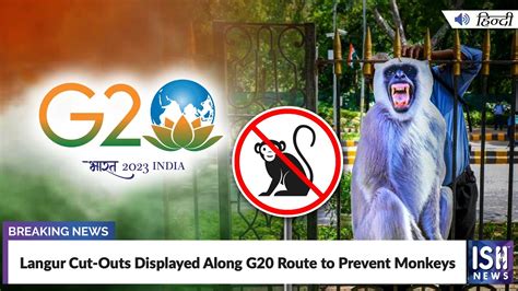 Langur Cut Outs Displayed Along G20 Route To Prevent Monkeys Ish News