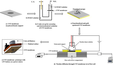 Schematic Of Fabrication Process Of Functionalized Cnt Membrane Download Scientific Diagram