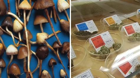 California Lawmakers Vote To Decriminalize Psychedelics Move Forward With Cannabis Cafes