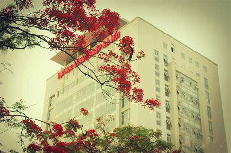 Hanoi University Of Industry Employees Location Alumni Linkedin