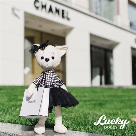 Collection Lucky Doggy