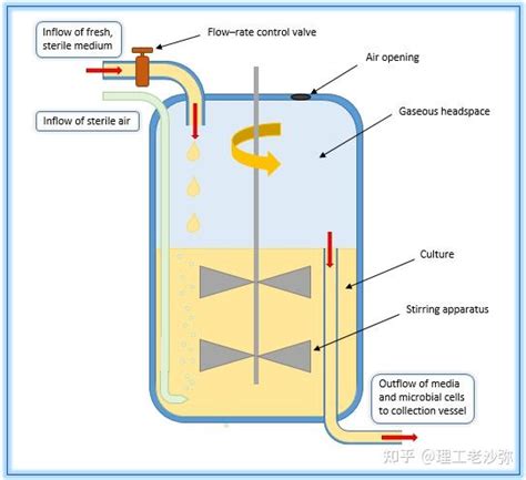 连续发酵培养方式的优选 知乎