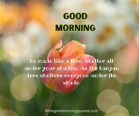 54 Beautiful Good Morning Nature Quotes Good Morning Quotes