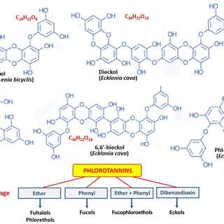 Chemical Structure And Classification Of Major Groups Of Phlorotannins