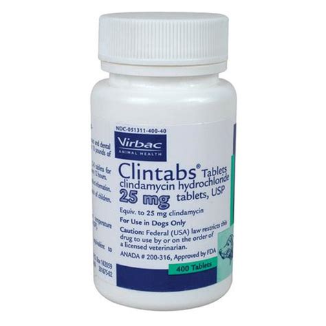 Pet Meds, No Prescription Required - Clindamycin (Antirobe)