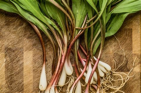 Edible Wild Greens Are Tasty, Nutritious, and Free | Epicurious