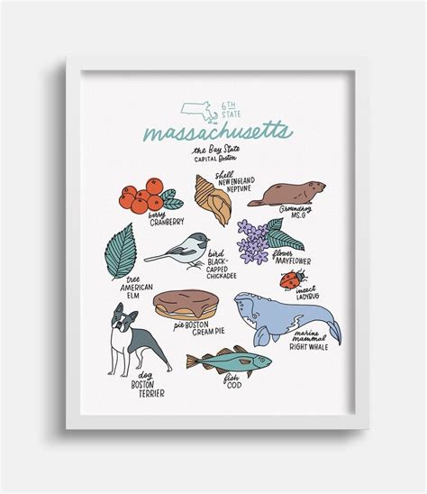 Massachusetts State Symbols Illustration Print, Massachusetts Gift, Teacher Gift, Travel Art ...