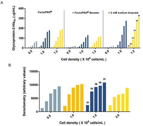 Glycoprotein Expression By Transient Transfection