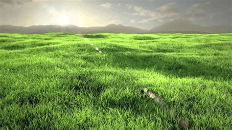 Hd Grass Animation Covered Next Tutorial Youtube