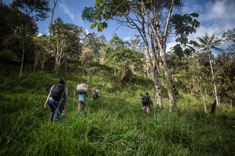 Uniendo Esfuerzos Y Educando Para Conservar La Biodiversidad De Los