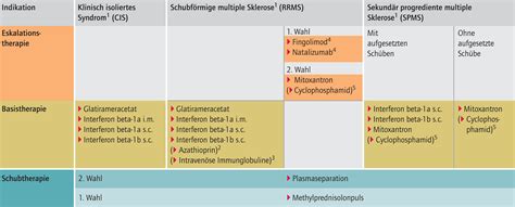 Neue S E Leitlinie Zur Diagnose Und Therapie Der Ms Gibt Empfehlungen