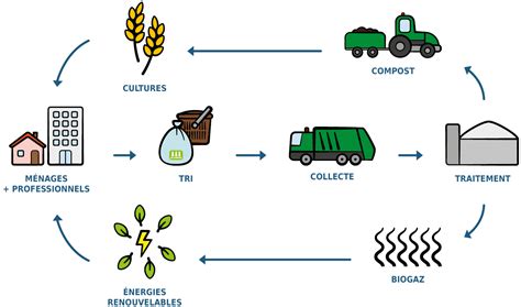 Le Cycle Des Déchets Alimentaires Mes Déchets Alimentaires