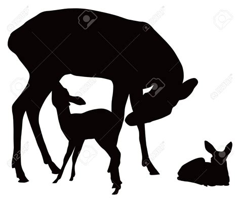 Fawn Feeding Clipart 17 Free Cliparts Download Images On Clipground 2025