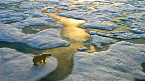 La actual crisis climática es la primera mundial de los últimos dos