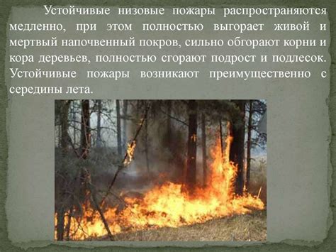 Природные пожары - online presentation