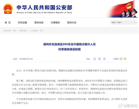 800余名在缅中国籍涉赌诈人员被遣返回国 新闻 上海证券报·中国证券网