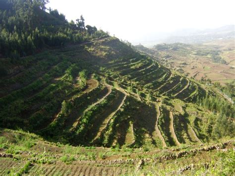 Bench Terracing Soil Conservation