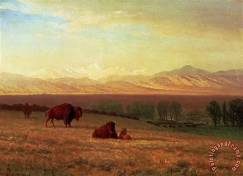 Albert Bierstadt Buffalo On The Plains Painting Buffalo On The Plains