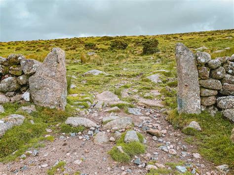 Magical Wistman’s Wood Walk, Dartmoor - How To Visit From Two Bridges Hotel (2025)!