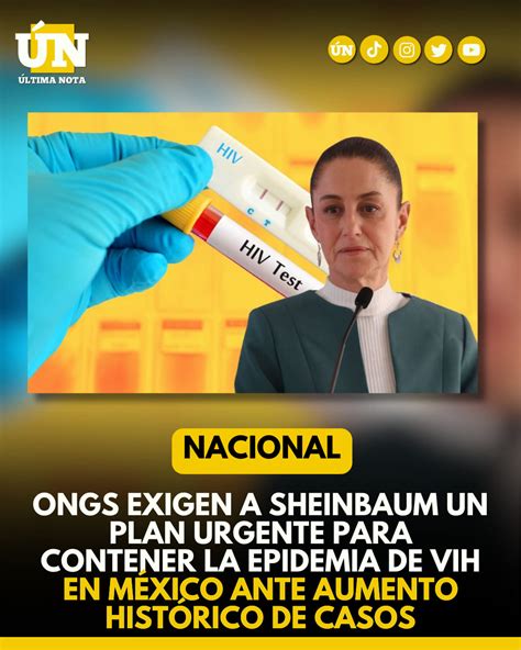 Ongs Exigen A Sheinbaum Un Plan Urgente Para Contener La Epidemia De