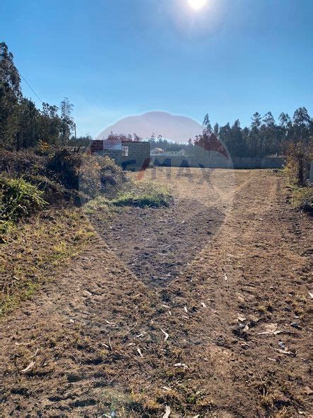 Terreno à venda em Cervães Vila Verde RE MAX