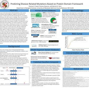 Poster Presentation