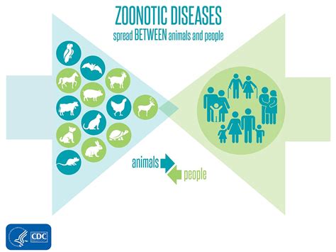 How Is Population Growth Connected To Strengthening Global Health