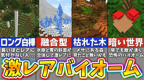 【マイクラ】超低確率！最もレアなバイオームランキングtop17【まいくら・マインクラフト】 Youtube