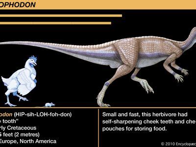 Hypsilophodon | Small, Ornithopod & Herbivore | Britannica