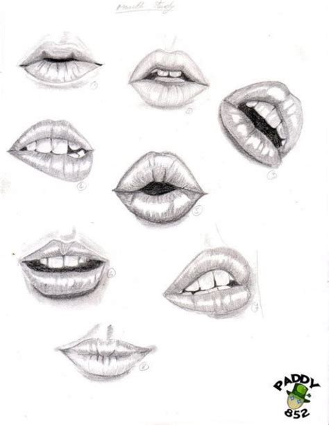 How To Draw A Female Nose