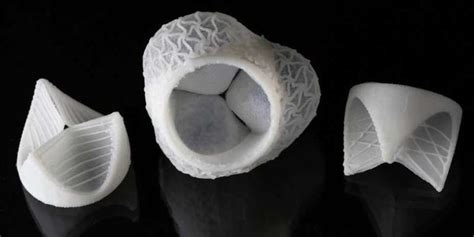 3 D Printed Custom Silicon Heart Valves