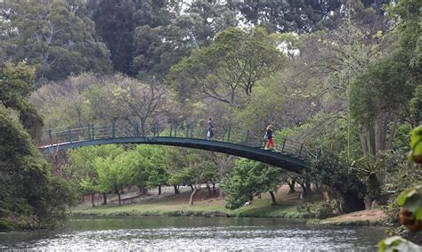 Parque Ibirapuera Confira As Atra Es De A