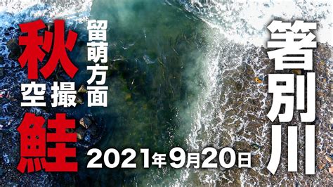 【鮭釣り】09月20日北海道 留萌方面 増毛町 箸別川河口 空撮【アキアジ】 Youtube