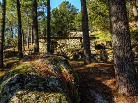 Fotos Gratis Paisaje Rbol Naturaleza Bosque Desierto Planta