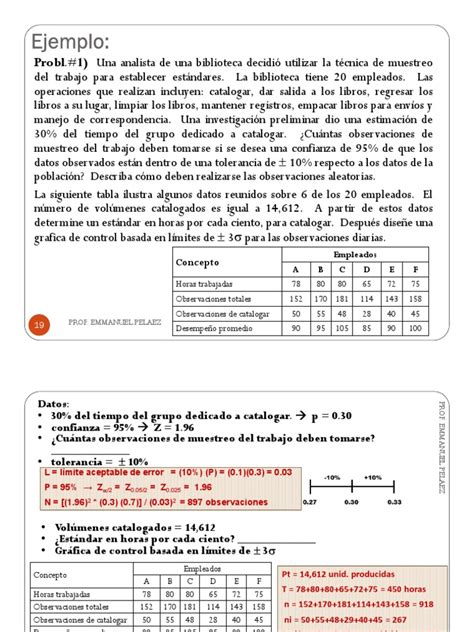 Ejemplo De Muestreo Del Trabajo Pdf