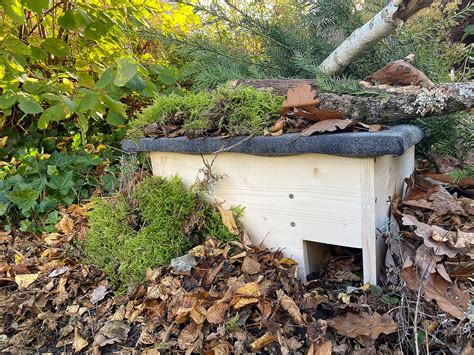 Jetzt Igelhaus Im Garten Aufstellen Bund Naturschutz In Bayern E V