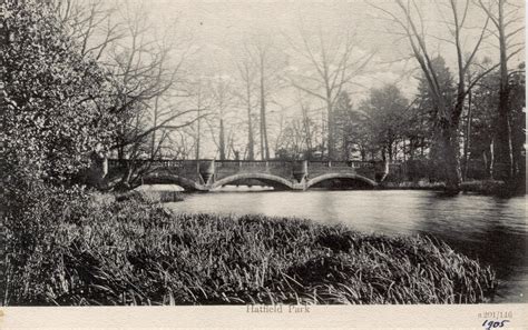 Hatfield Park - Hertford Museum