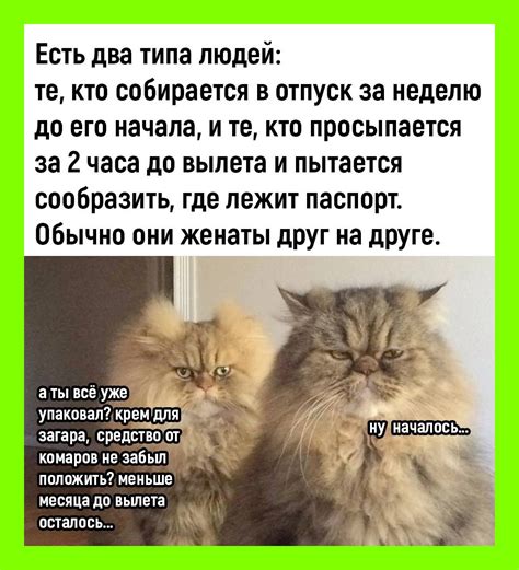 Продаю грабли с кривой ручкой: наступаешь ты, а по лбу получает идущий ...