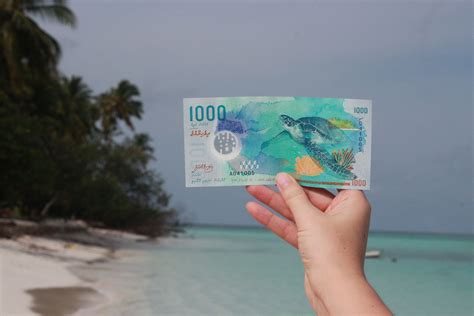 Beautiful Maldivian currency on Fulidhoo Beach. | Maldivian, Island ...