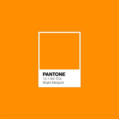 Peerless Marigold Color Pantone Coated Book