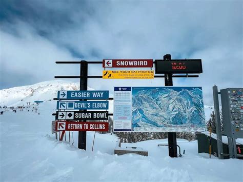 Alta Vs Snowbird Which Ski Resort Is Perfect For You